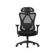 Ergonominė Biuro kėdė "ErgoComfort"